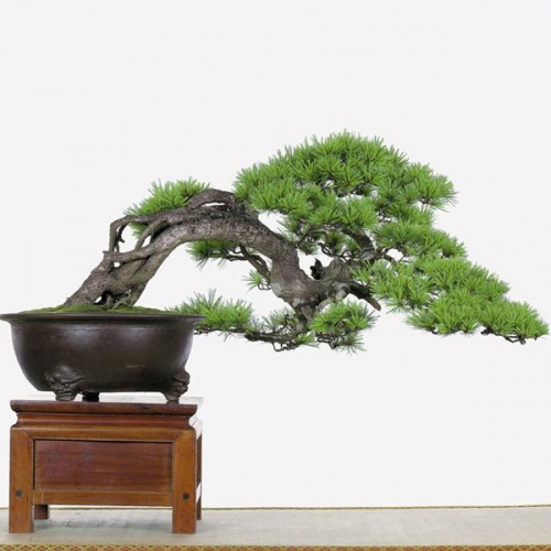 Nghệ thuật chứng minh không có gì là không thể thu nhỏ